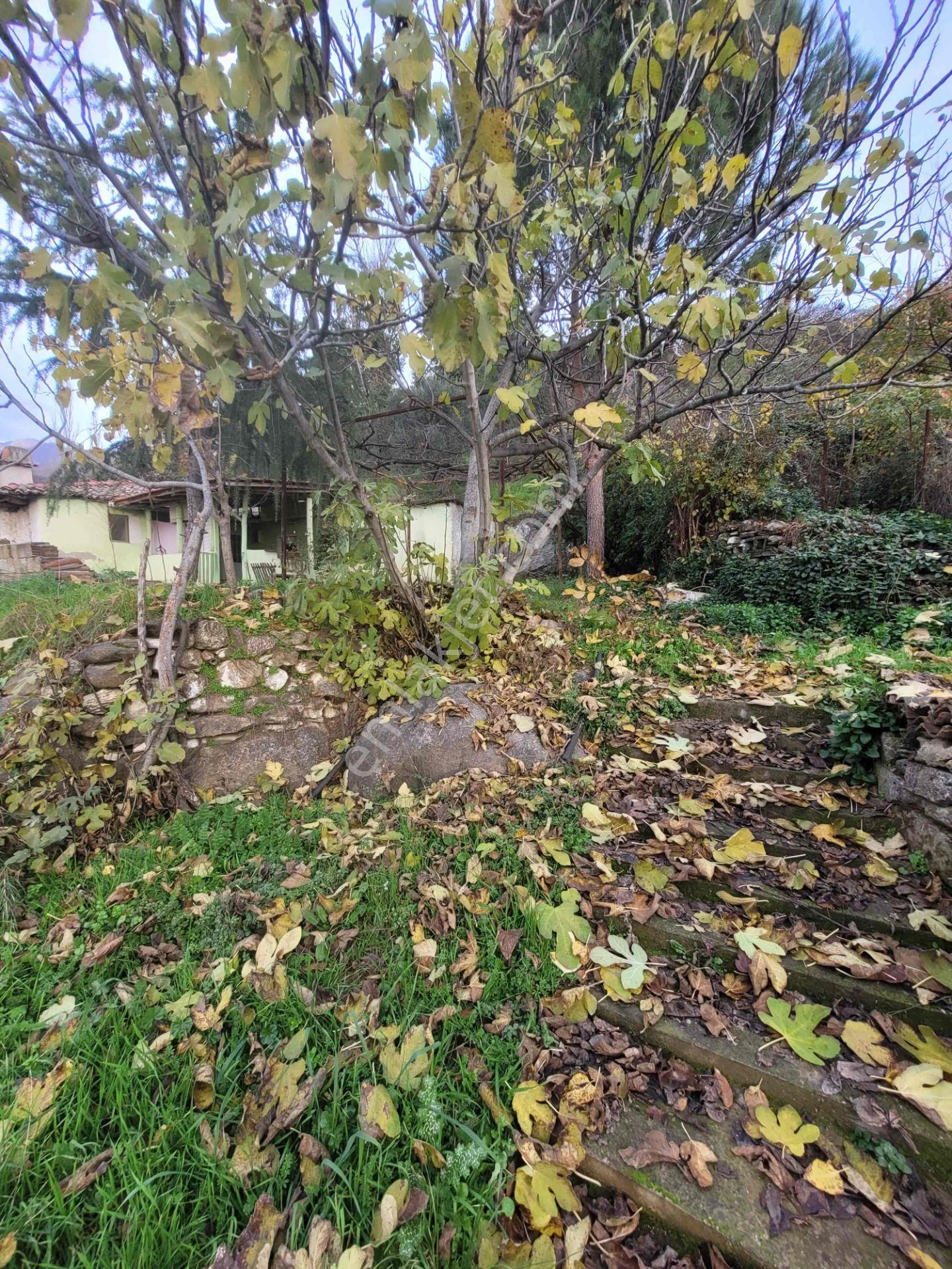 Meta'dan 483 M² Alan İçinde Müstakil Köy Evi Tek Tapu Yol Kenarı - Görsel 8