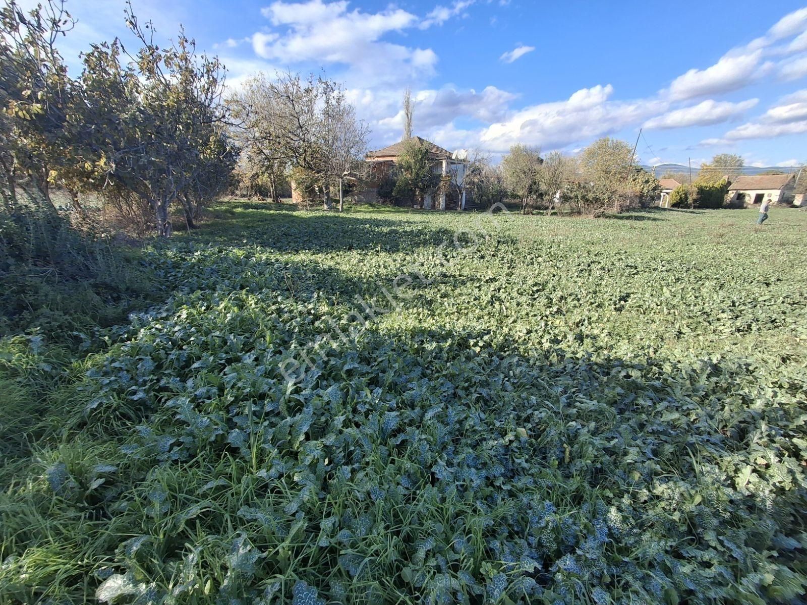Bayındır Yeşilova Mah. Harika Konumda Geniş Bahçeli Müstakil Ev - Görsel 18