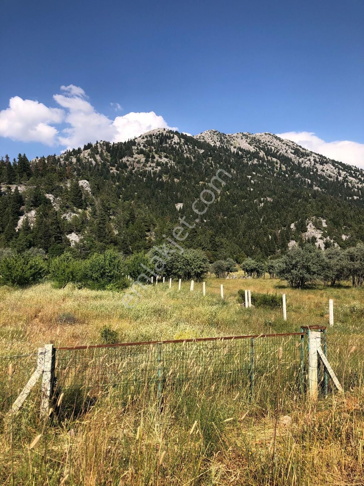 İdamax'tan Akseki Bademli,de Satılık Tarla - Görsel 10