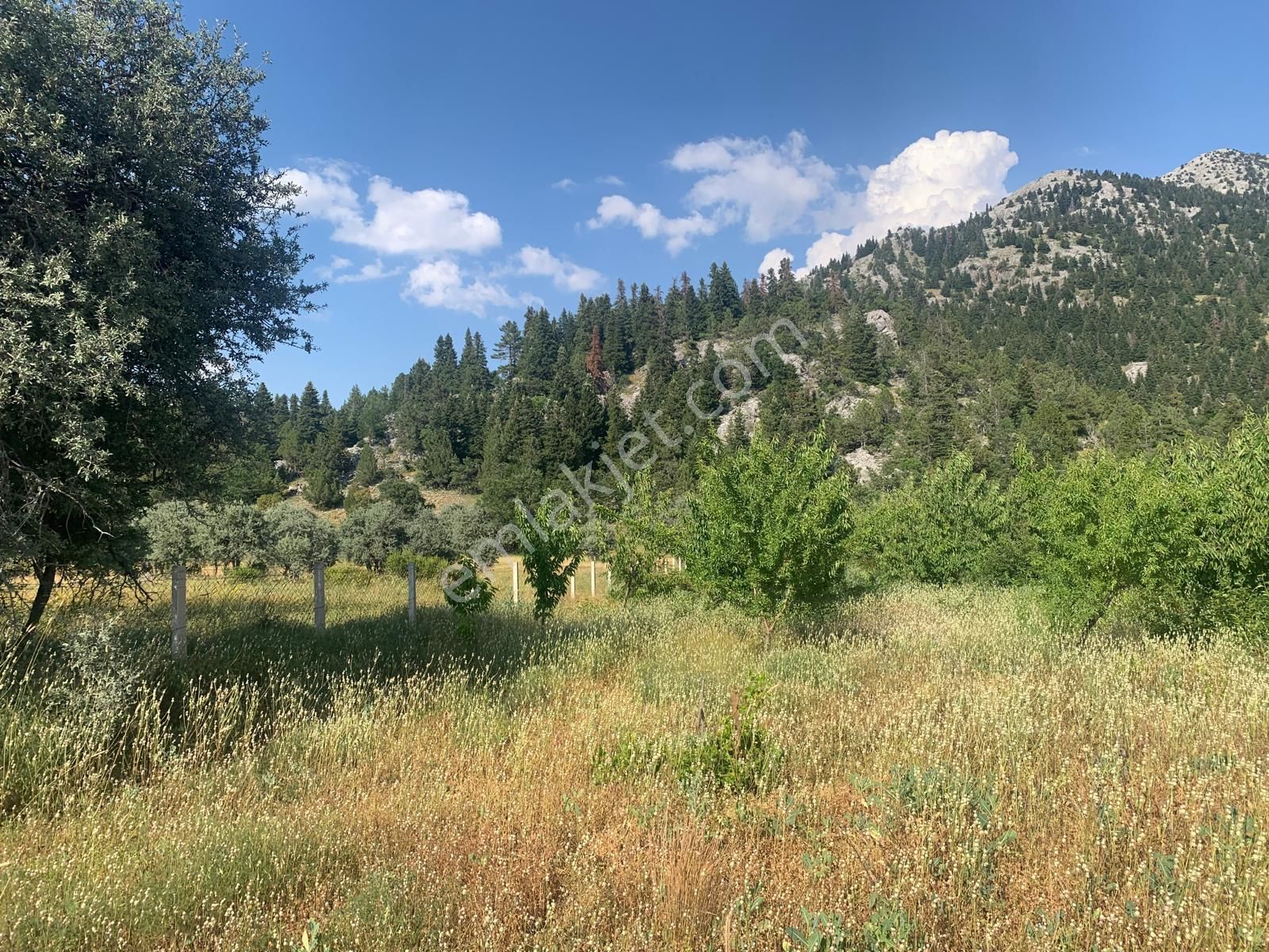 İdamax'tan Akseki Bademli,de Satılık Tarla