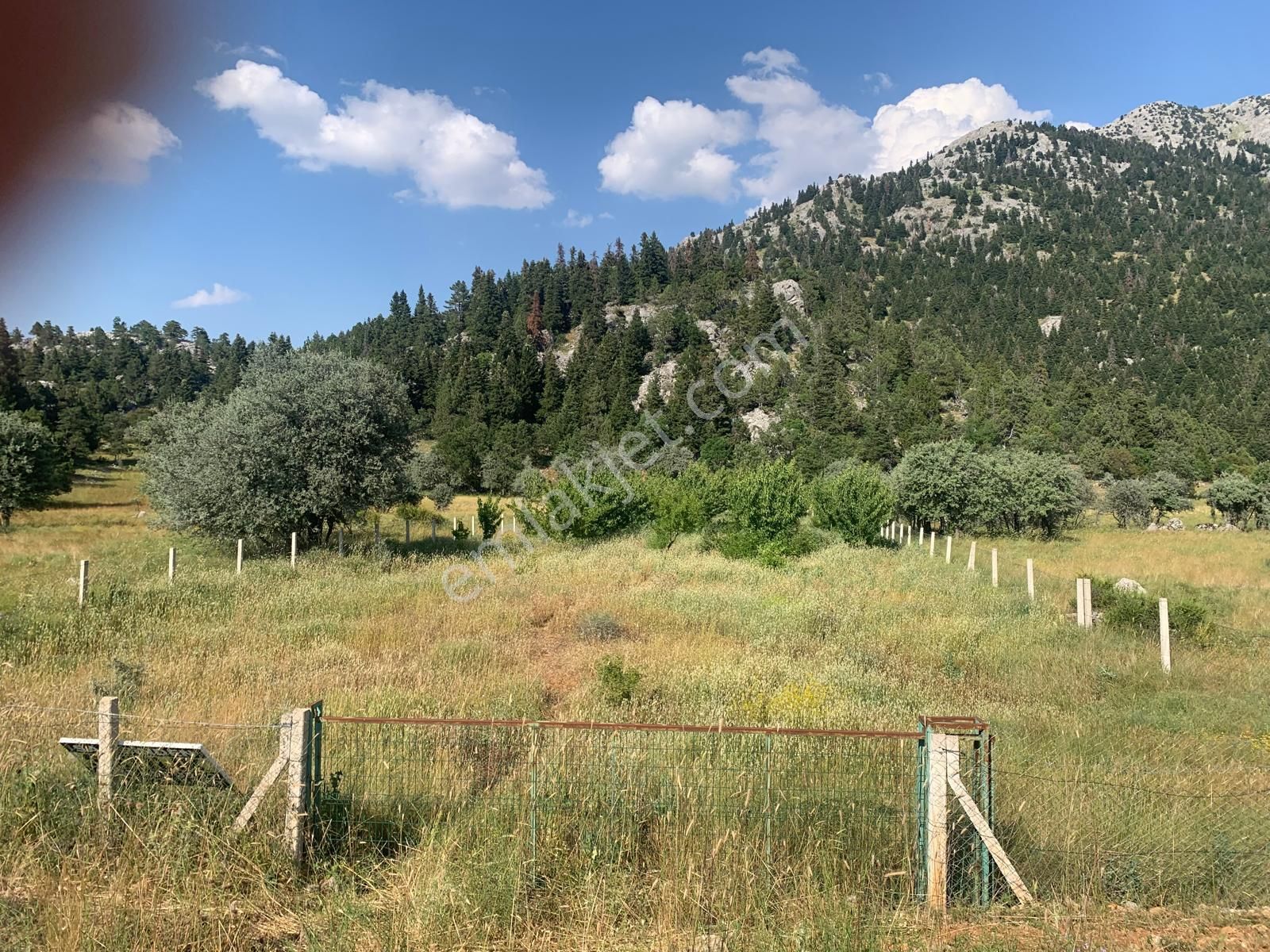 İdamax'tan Akseki Bademli,de Satılık Tarla - Görsel 7