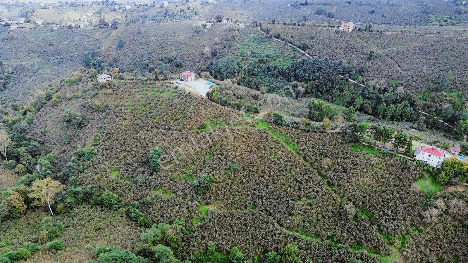 Ulu'dan Kaçırılmayacak Fırsat - Görsel 28