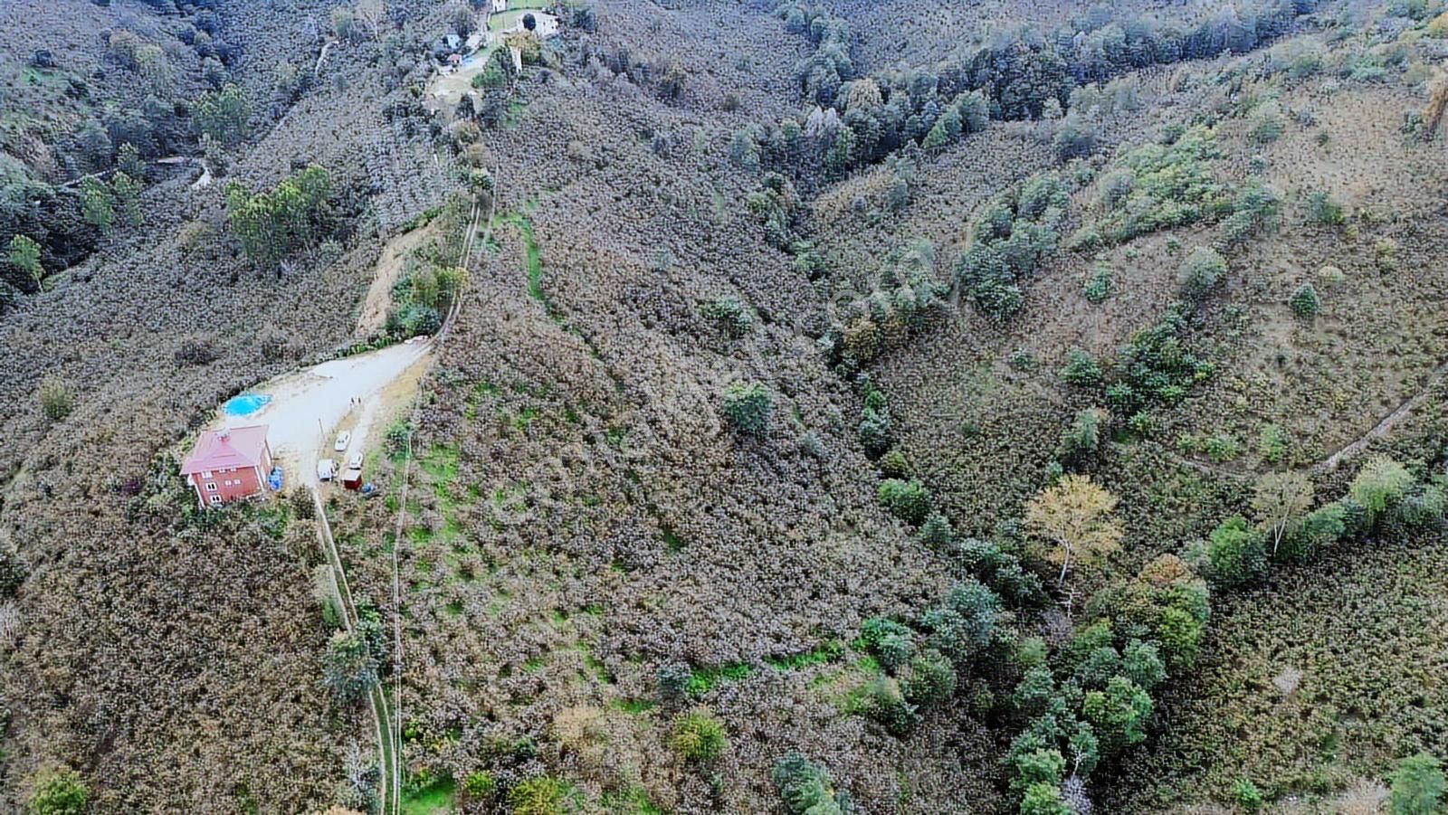 Ulu'dan Kaçırılmayacak Fırsat - Görsel 33