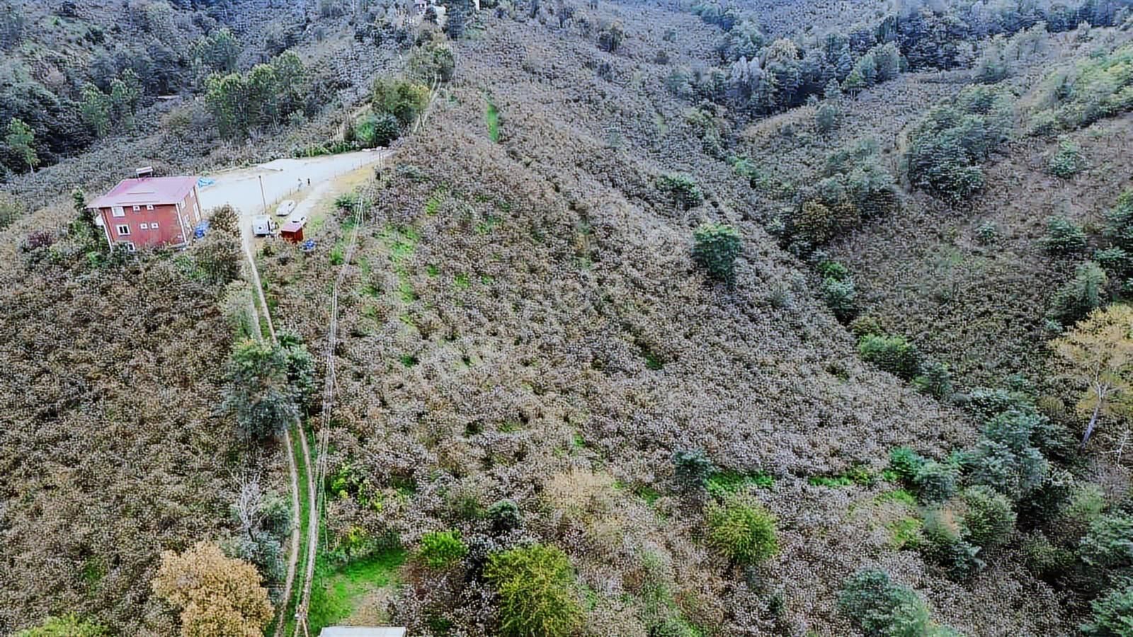 Ulu'dan Kaçırılmayacak Fırsat - Görsel 6