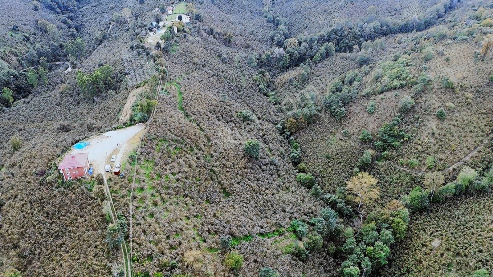 Ulu'dan Kaçırılmayacak Fırsat - Görsel 27