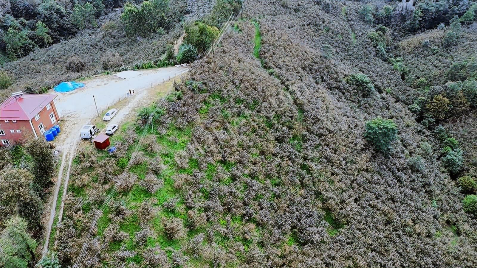 Ulu'dan Kaçırılmayacak Fırsat - Görsel 7