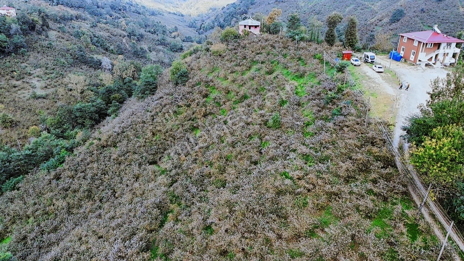 Ulu'dan Kaçırılmayacak Fırsat - Görsel 18