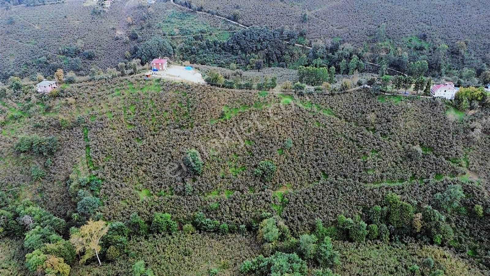 Ulu'dan Kaçırılmayacak Fırsat - Görsel 20