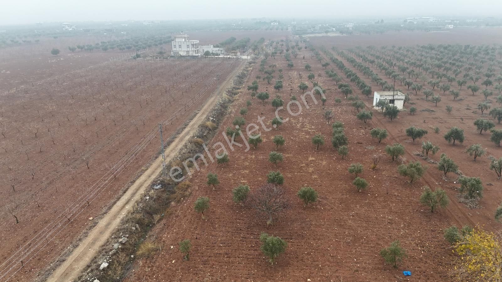 Uyaran 79'dan Mehmet Abdi Bulut'ta Satılık Meyvelik - Görsel 27