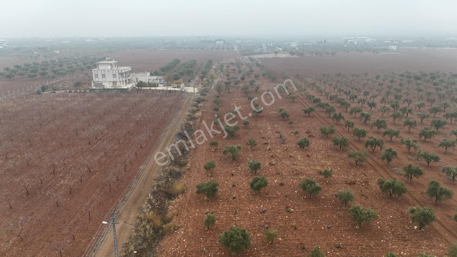 Uyaran 79'dan Mehmet Abdi Bulut'ta Satılık Meyvelik - Görsel 2
