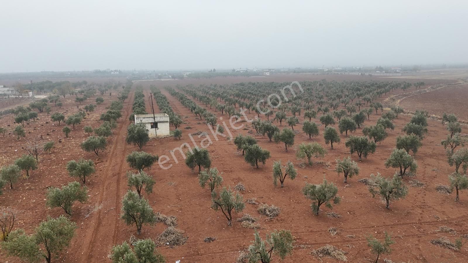 Uyaran 79'dan Mehmet Abdi Bulut'ta Satılık Meyvelik - Görsel 7