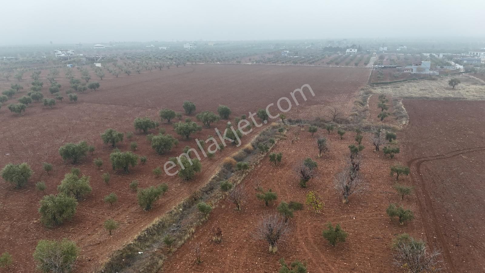 Uyaran 79'dan Mehmet Abdi Bulut'ta Satılık Meyvelik - Görsel 18