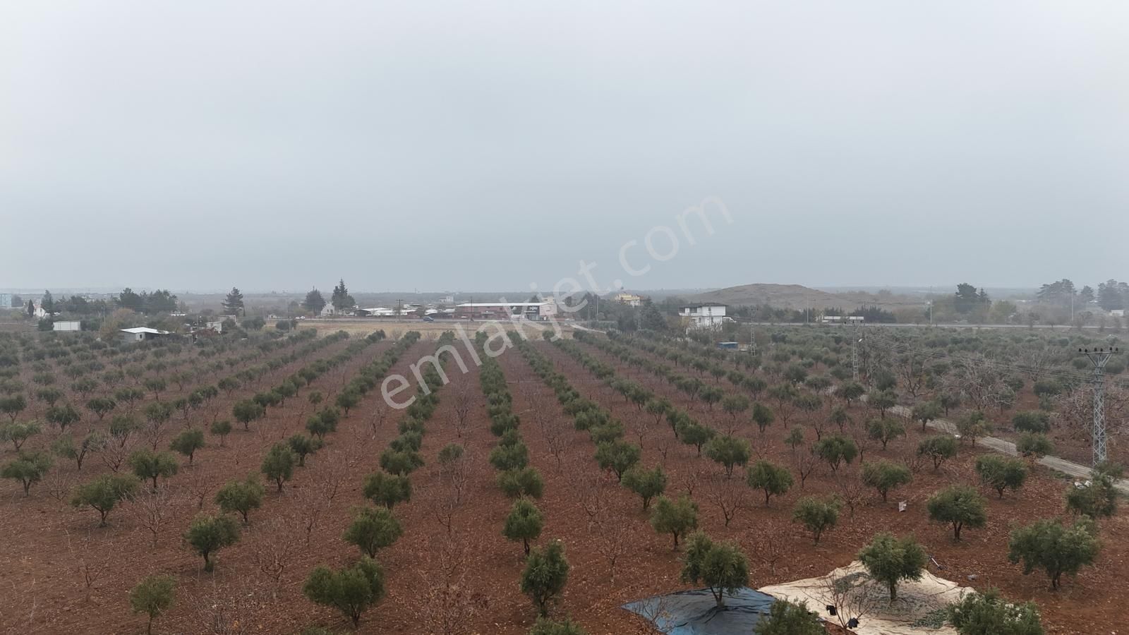 Uyaran 79'dan Mehmet Abdi Bulut'ta Satılık Meyvelik - Görsel 15