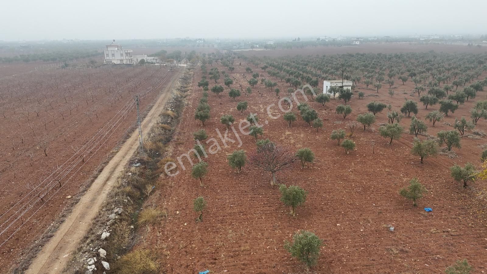 Uyaran 79'dan Mehmet Abdi Bulut'ta Satılık Meyvelik - Görsel 24