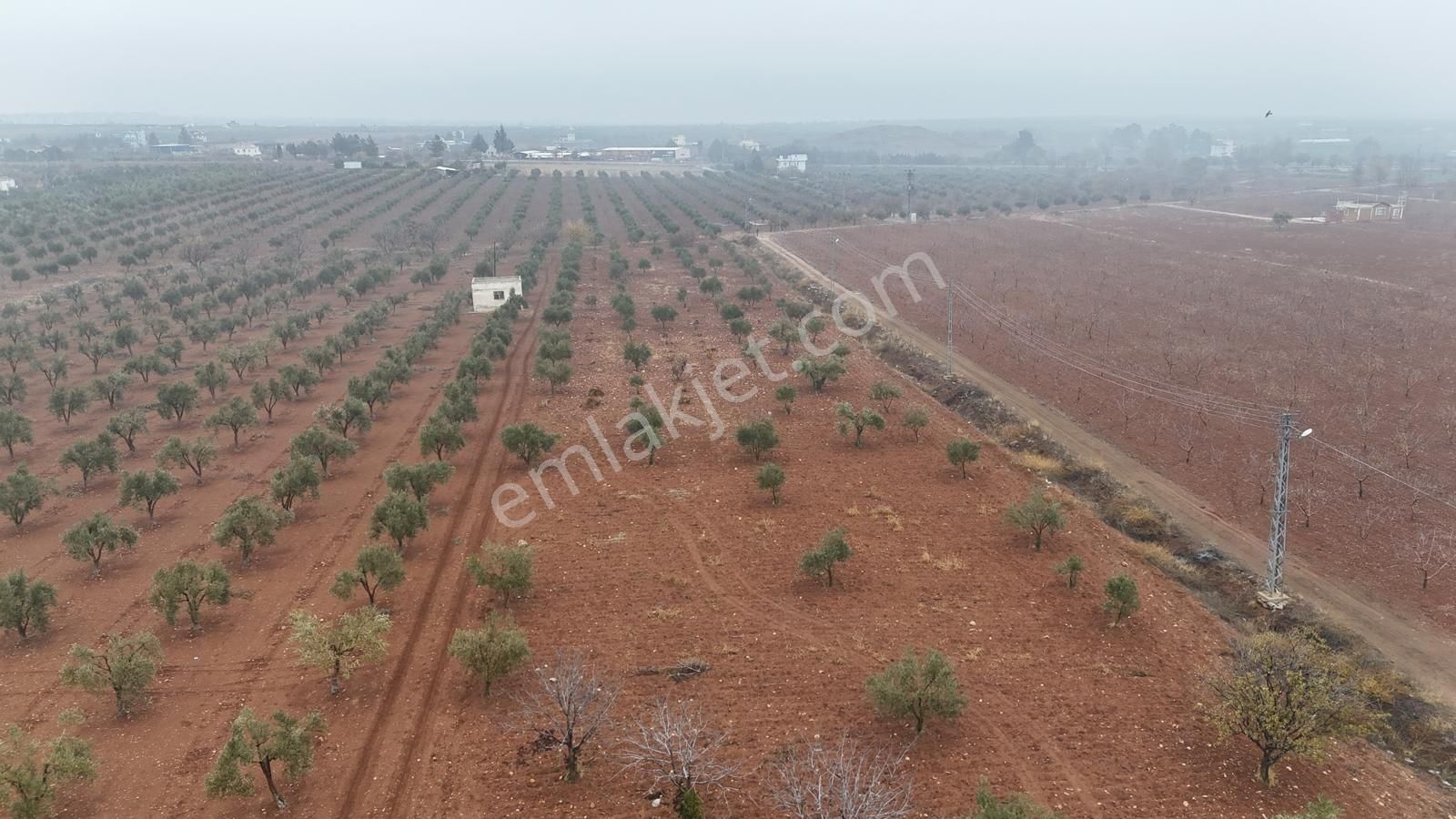 Uyaran 79'dan Mehmet Abdi Bulut'ta Satılık Meyvelik - Görsel 11