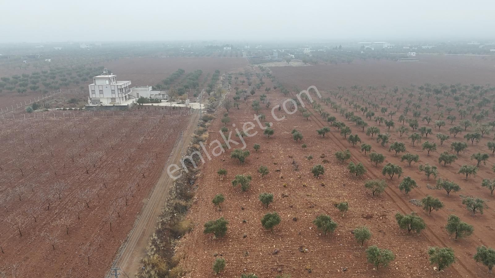 Uyaran 79'dan Mehmet Abdi Bulut'ta Satılık Meyvelik - Görsel 3