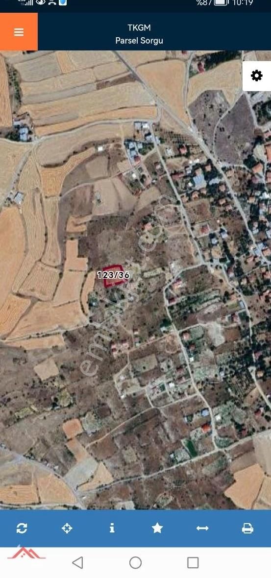 Gesi Büyük Bürüngüz, De 2035m2 Tek Tapu Satılık Bağ