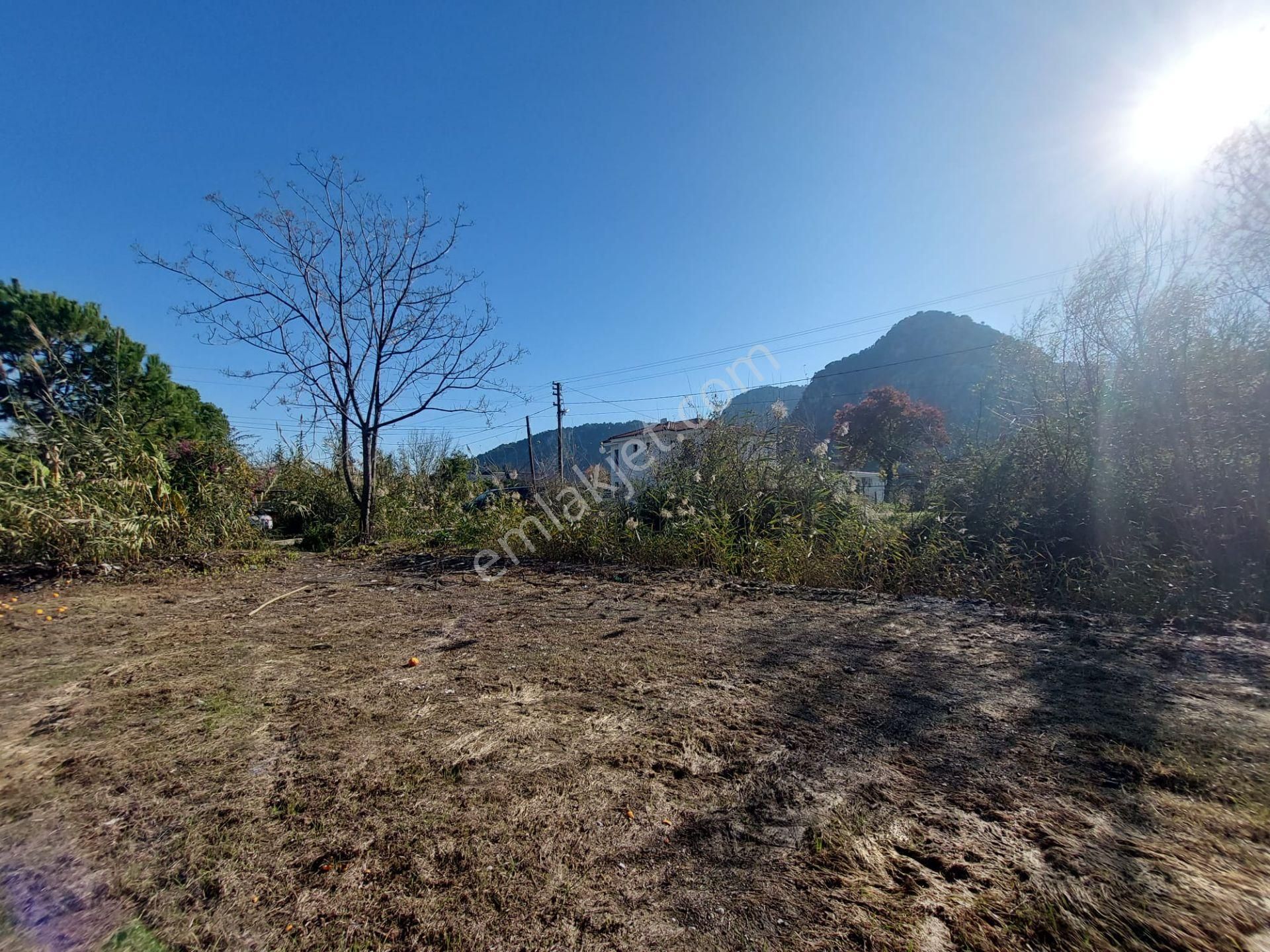Muğla Dalyan Da Yatırıma Uygun Kelepir Orman A Sıfır 4 000 M2 Arazi Satılık - Görsel 3