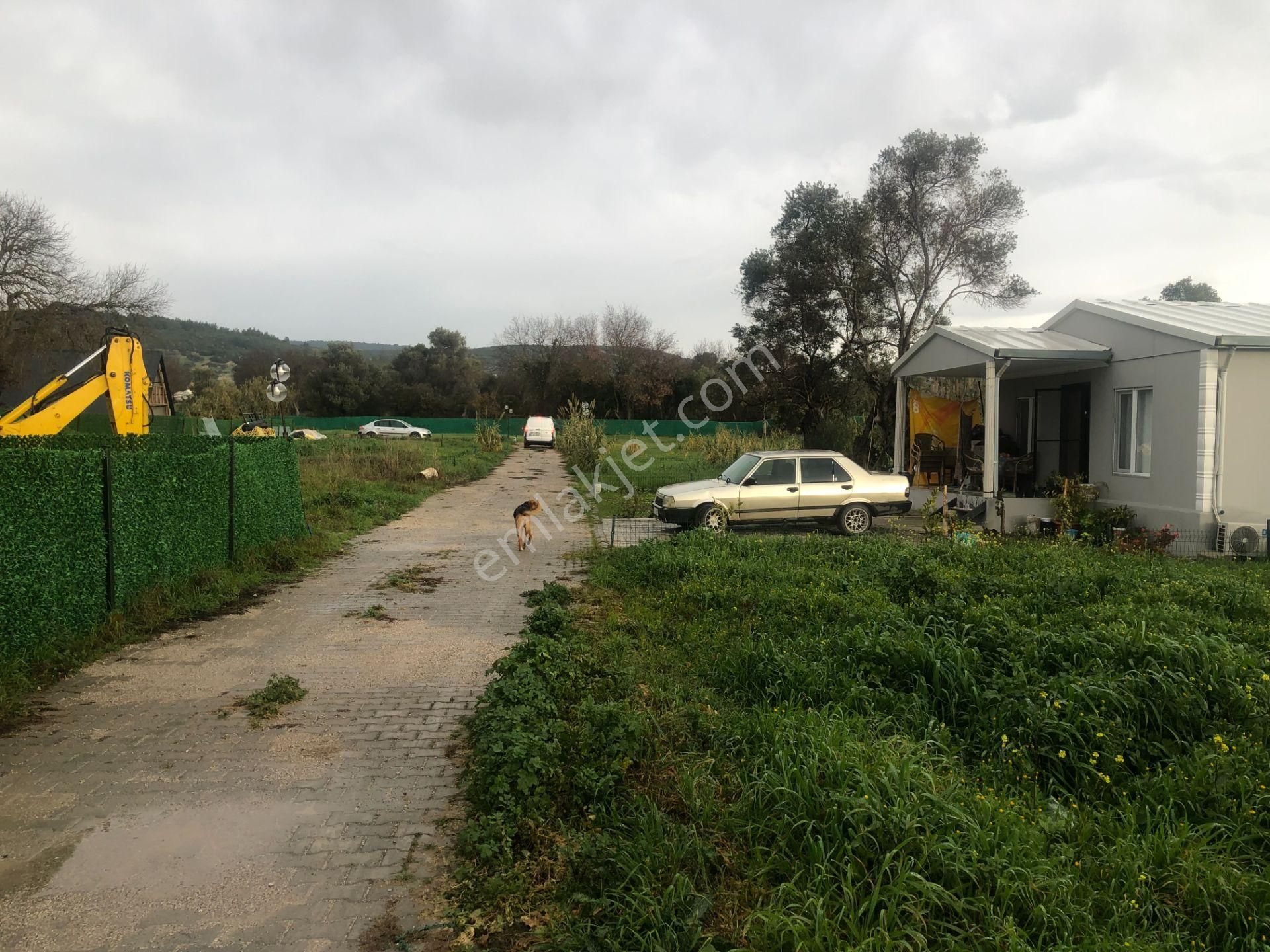 Urla/özbek Koop Hisseli Satılık Arsa Doğa İçinde Denize Yakın - Görsel 26