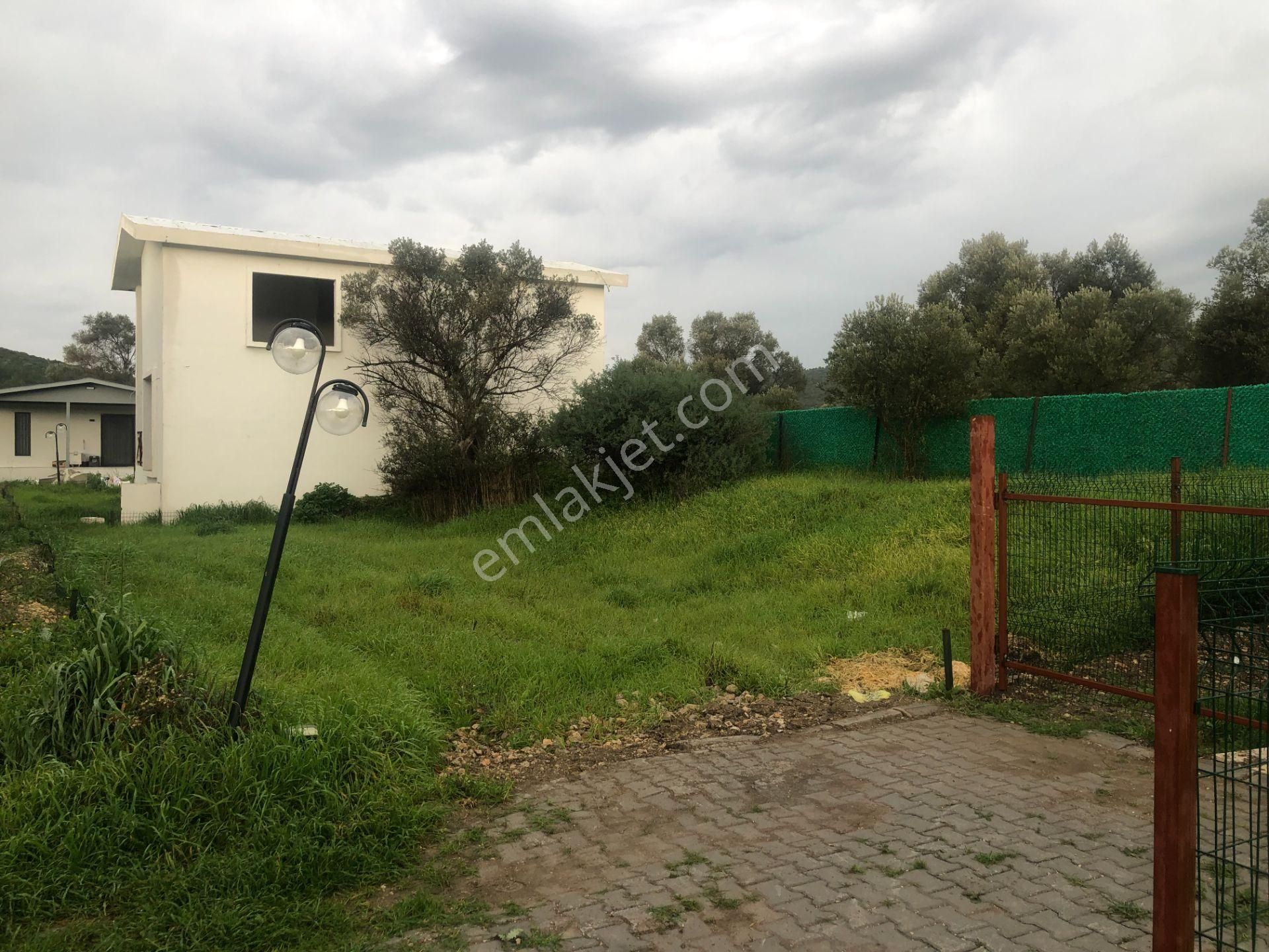 Urla/özbek Koop Hisseli Satılık Arsa Doğa İçinde Denize Yakın - Görsel 4