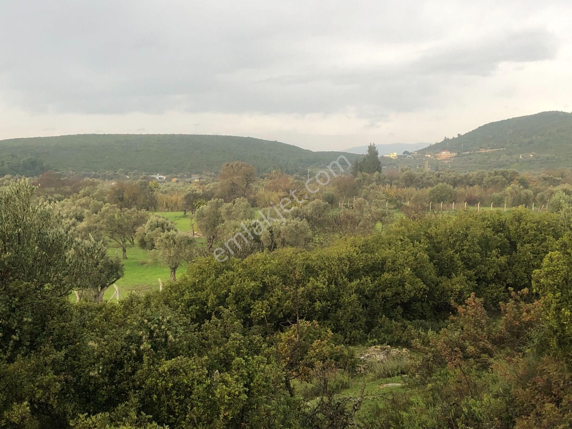 Urla/özbek Koop Hisseli Satılık Arsa Doğa İçinde Denize Yakın - Görsel 32