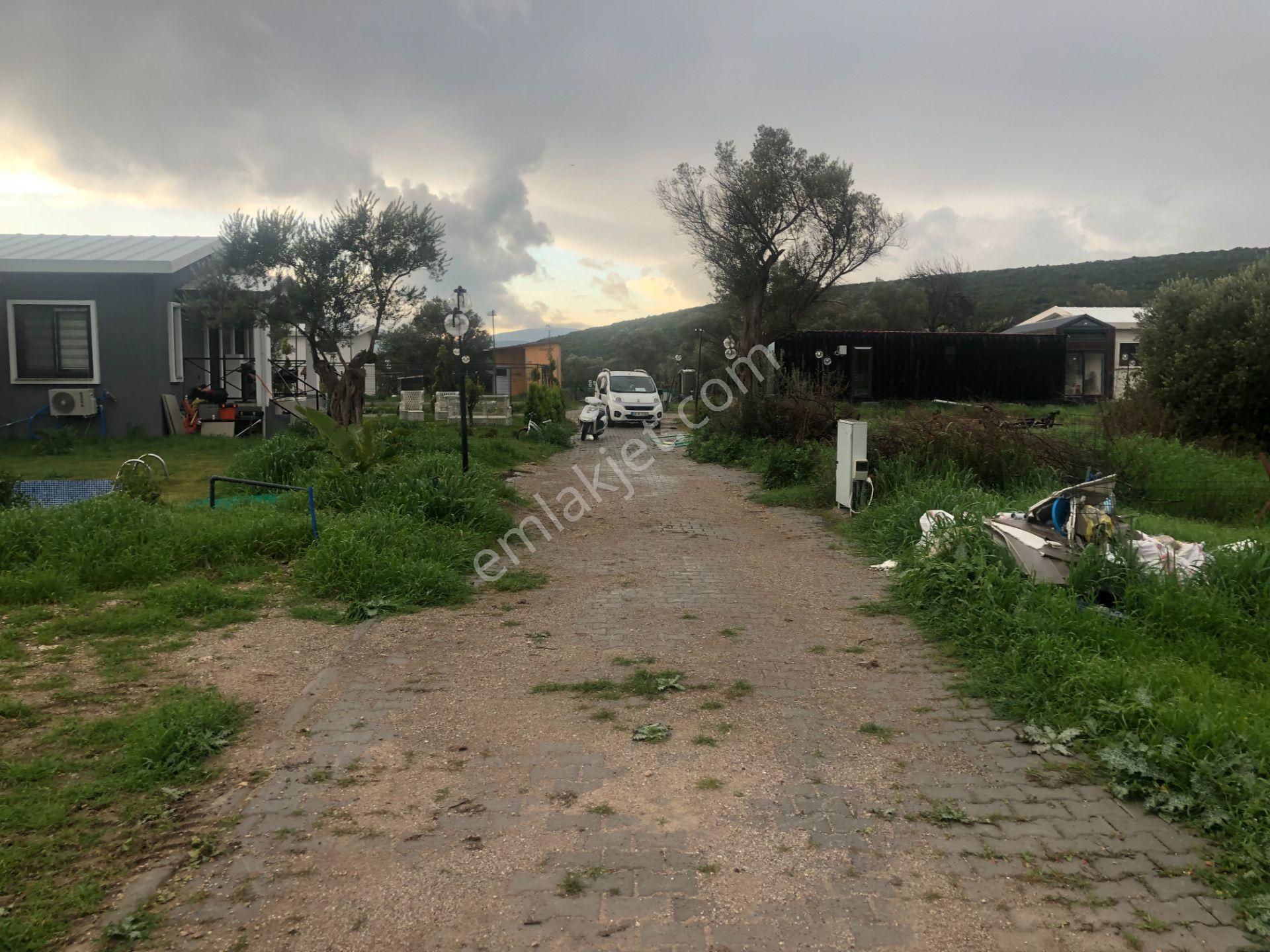 Urla/özbek Koop Hisseli Satılık Arsa Doğa İçinde Denize Yakın - Görsel 5