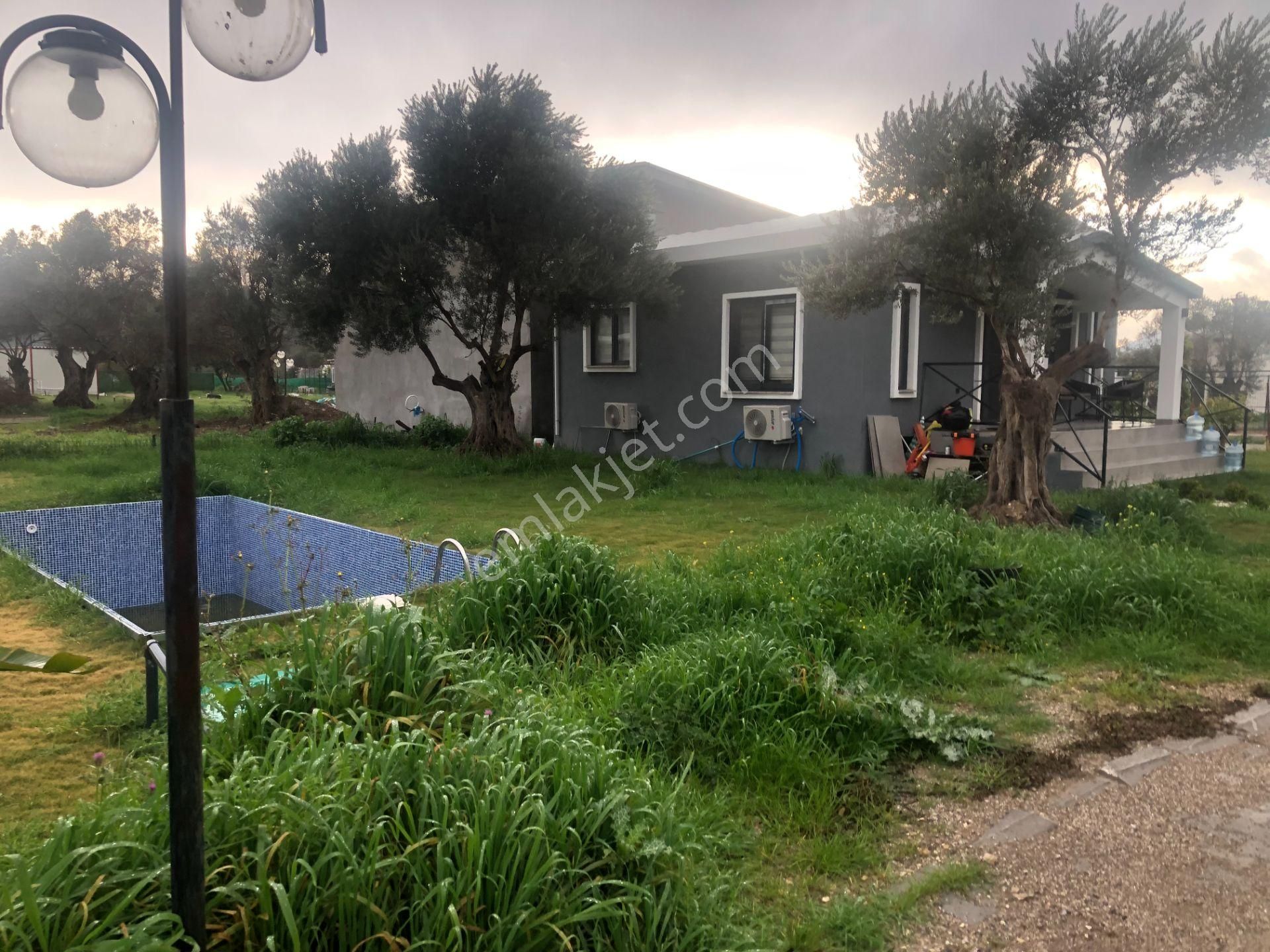 Urla/özbek Koop Hisseli Satılık Arsa Doğa İçinde Denize Yakın - Görsel 10