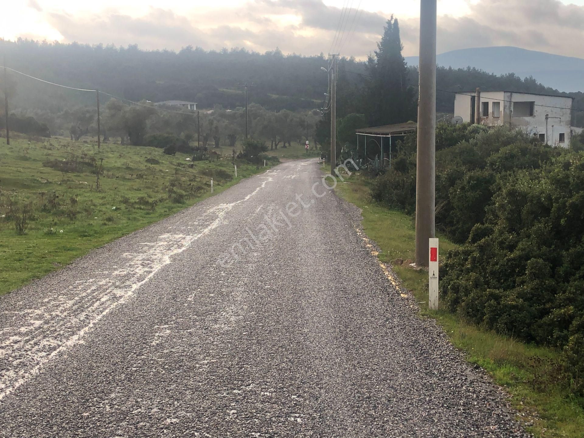 Urla/özbek Koop Hisseli Satılık Arsa Doğa İçinde Denize Yakın - Görsel 30