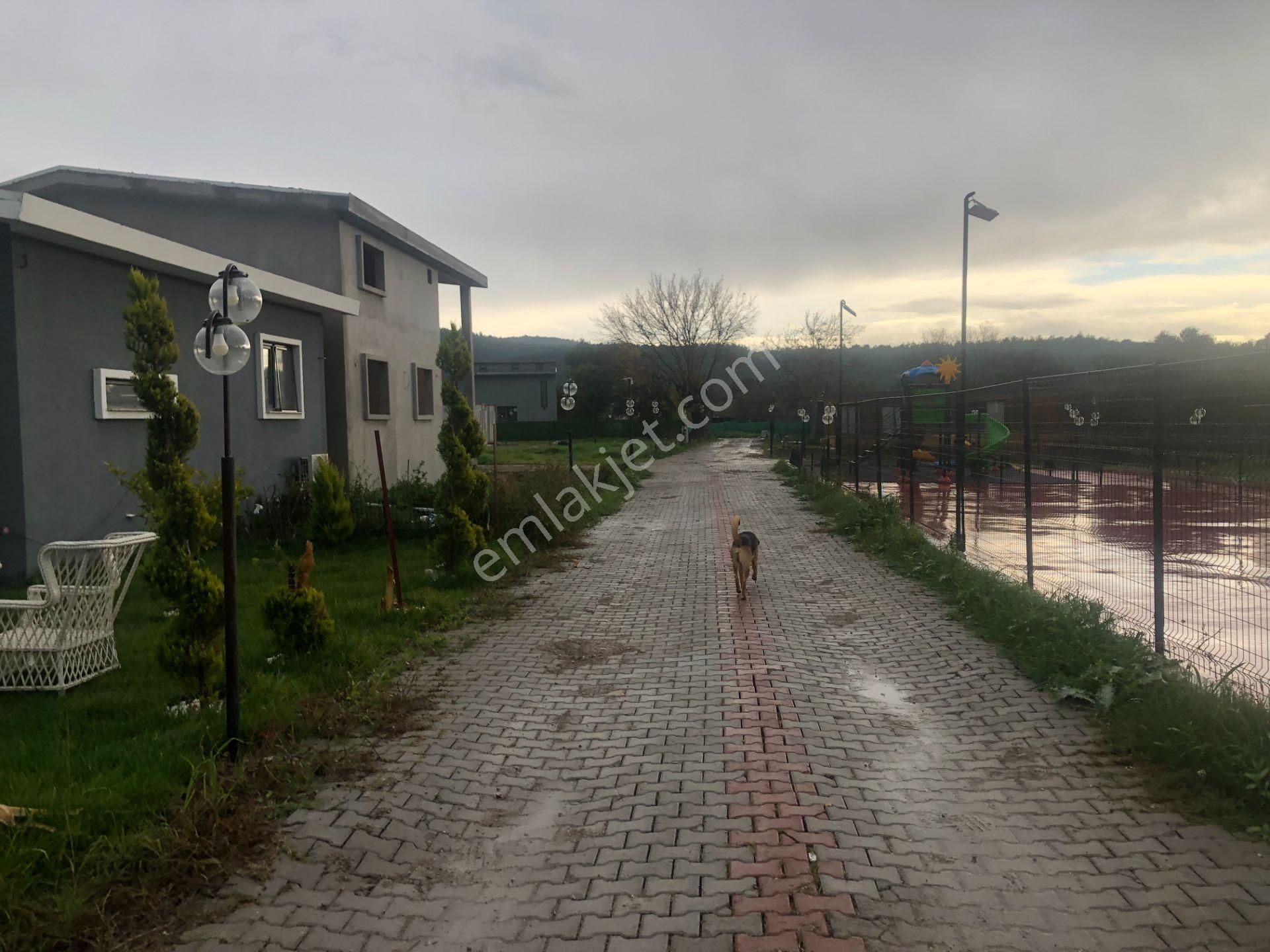 Urla/özbek Koop Hisseli Satılık Arsa Doğa İçinde Denize Yakın - Görsel 13