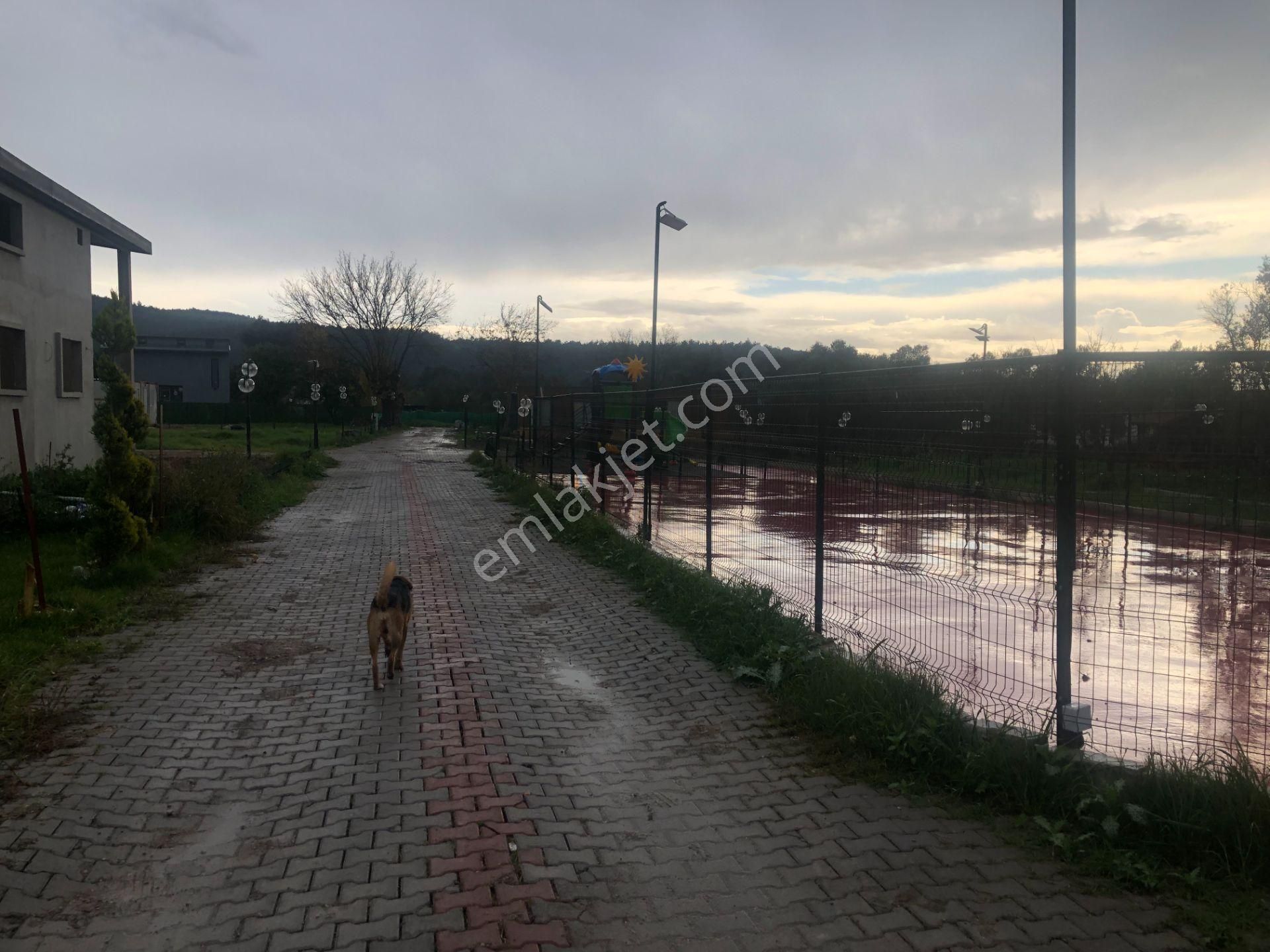 Urla/özbek Koop Hisseli Satılık Arsa Doğa İçinde Denize Yakın - Görsel 12