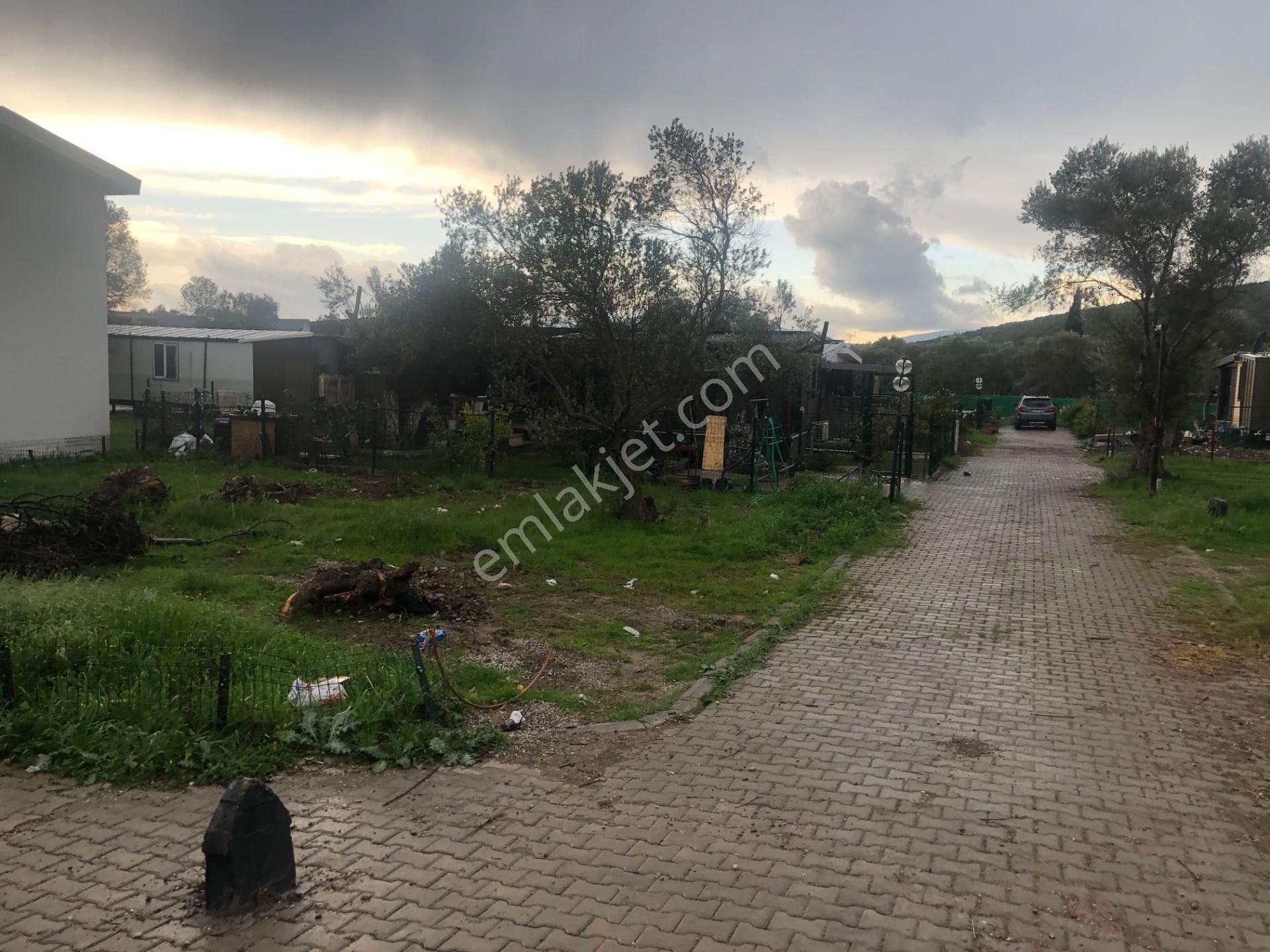 Urla/özbek Koop Hisseli Satılık Arsa Doğa İçinde Denize Yakın - Görsel 15