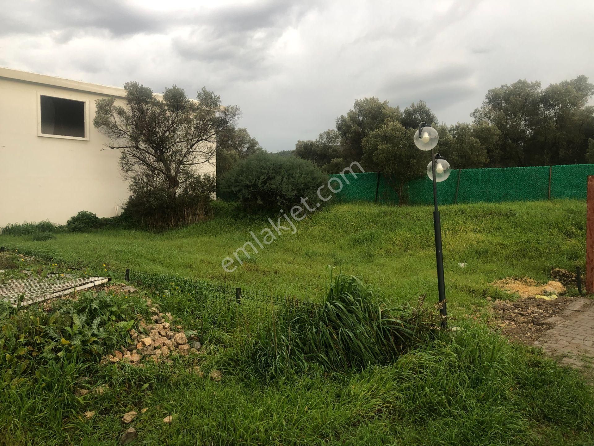 Urla/özbek Koop Hisseli Satılık Arsa Doğa İçinde Denize Yakın - Görsel 3