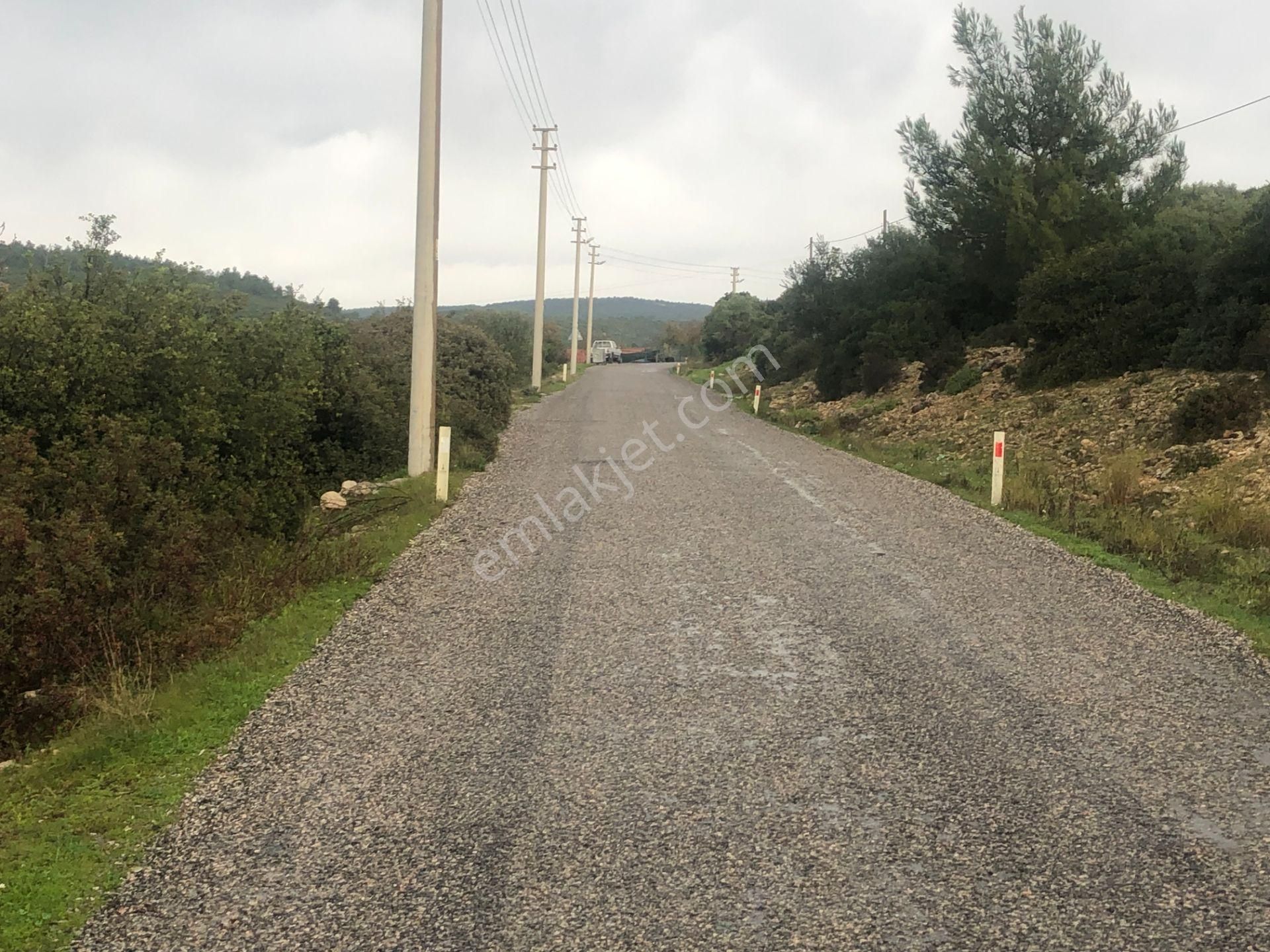 Urla/özbek Koop Hisseli Satılık Arsa Doğa İçinde Denize Yakın - Görsel 31