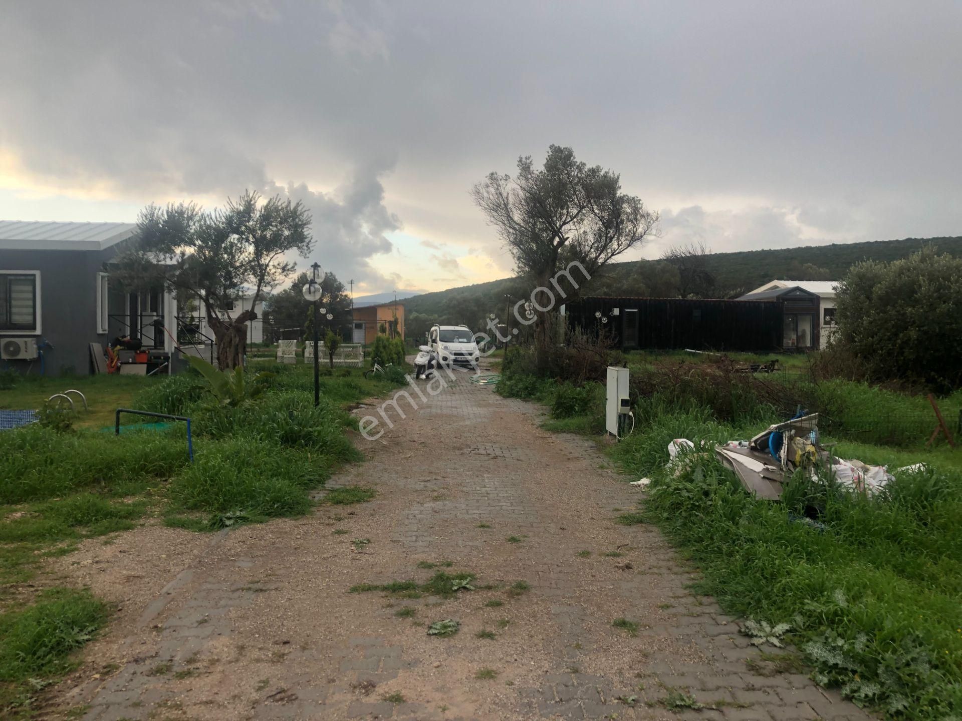 Urla/özbek Koop Hisseli Satılık Arsa Doğa İçinde Denize Yakın - Görsel 7