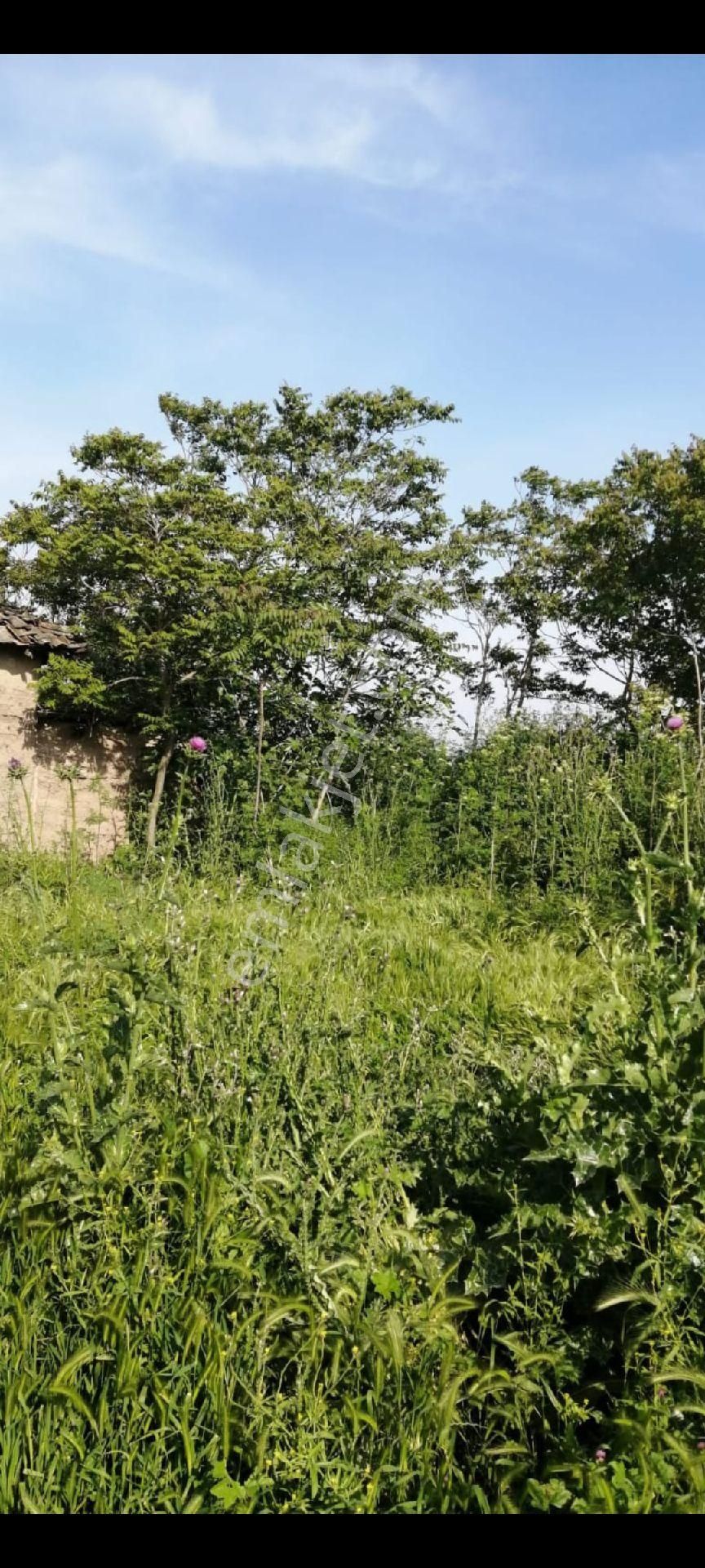 My Ekipden Bursadaköy Hayati Yaşamak İsteyenler İçin İdeal Köyiçi Konutlu İmarlı Hesaplı Arsa... - Görsel 28