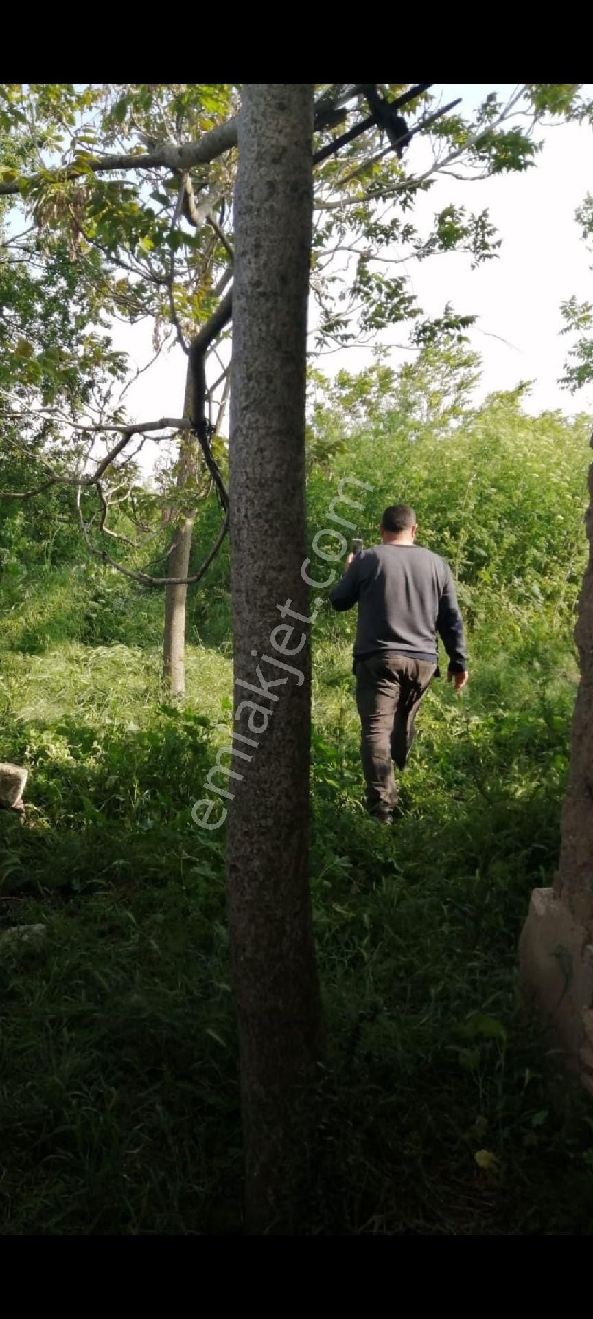 My Ekipden Bursadaköy Hayati Yaşamak İsteyenler İçin İdeal Köyiçi Konutlu İmarlı Hesaplı Arsa... - Görsel 32