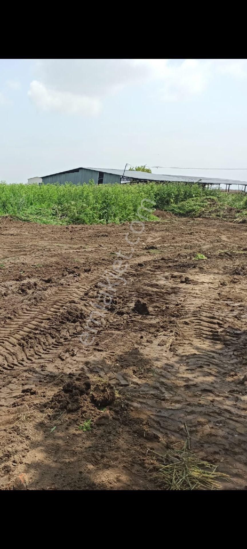 My Ekipden Bursadaköy Hayati Yaşamak İsteyenler İçin İdeal Köyiçi Konutlu İmarlı Hesaplı Arsa... - Görsel 24