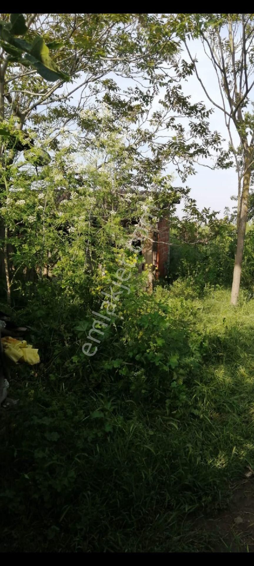 My Ekipden Bursadaköy Hayati Yaşamak İsteyenler İçin İdeal Köyiçi Konutlu İmarlı Hesaplı Arsa... - Görsel 30