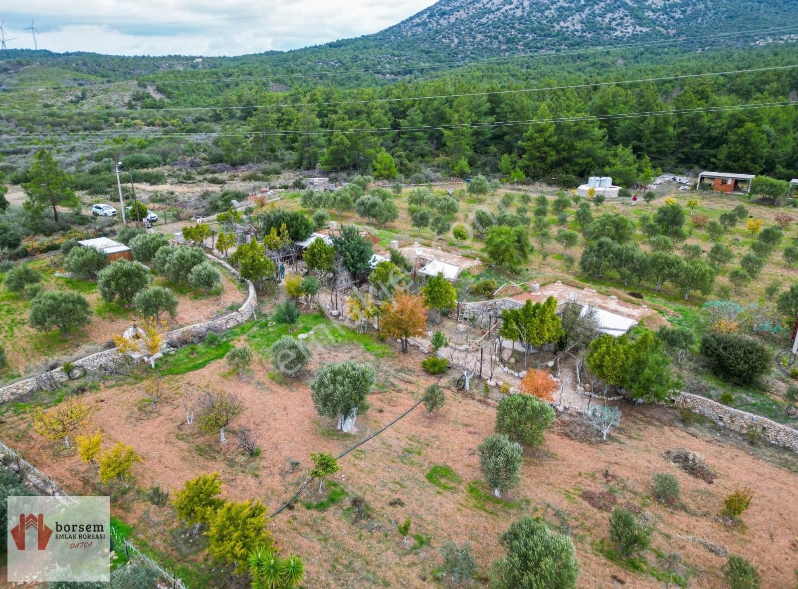 Borsem Datça - Emecik Mahallesinde Deniz Manzaralı Çiftlik - Görsel 7