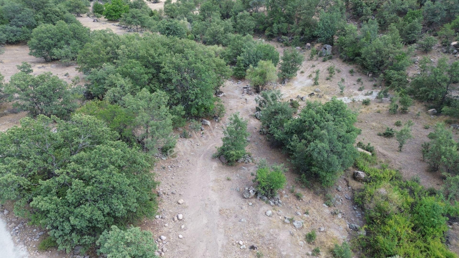 Konya Meram Çukurçimen De 3.317 M2 Müstakil Tapulu Tarla - Görsel 5