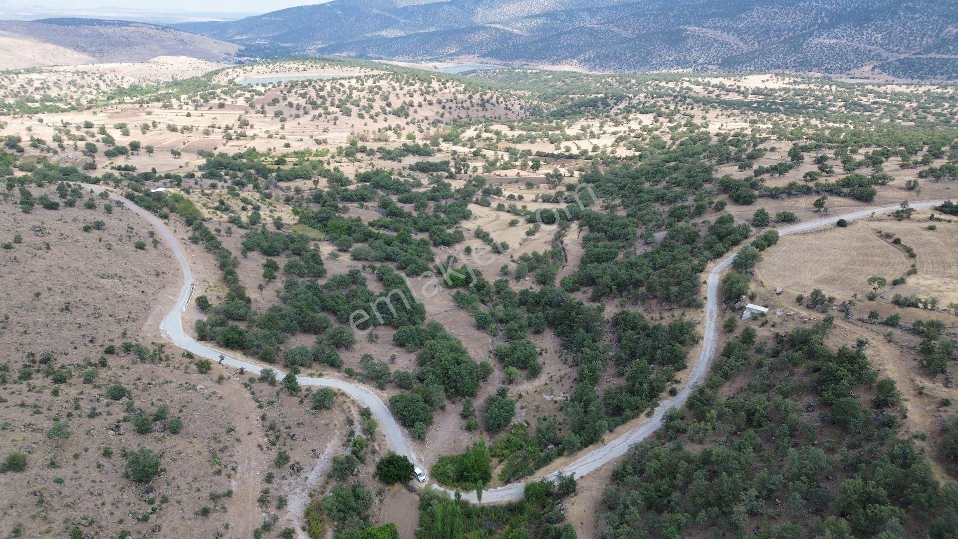 Konya Meram Çukurçimen De 3.317 M2 Müstakil Tapulu Tarla - Görsel 2