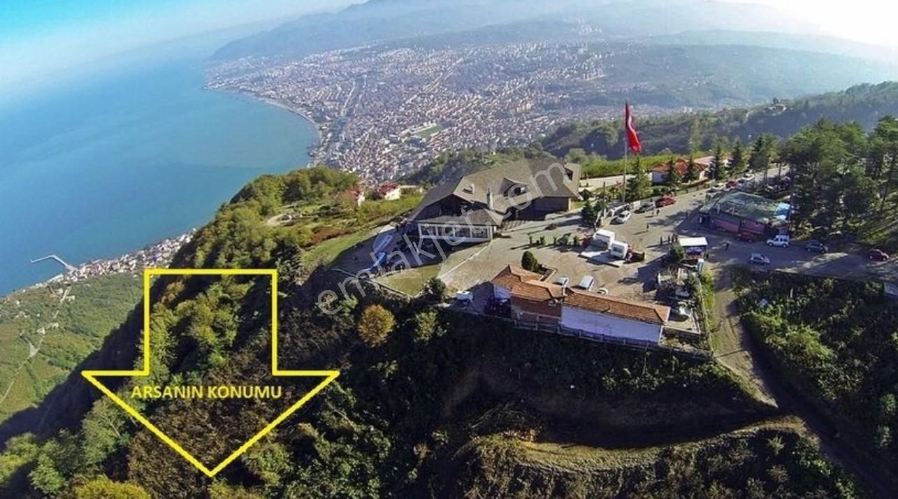 İzyap'tan Boztepe'de Deniz Manzaralı Fındık Bahçesi - Görsel 2