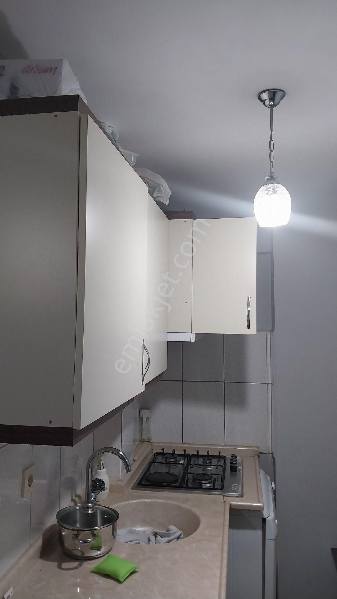 Aydın Efeler Zafer Mahallesinde Asansörlü Kiralık 1+1 Eşyalı - Görsel 24