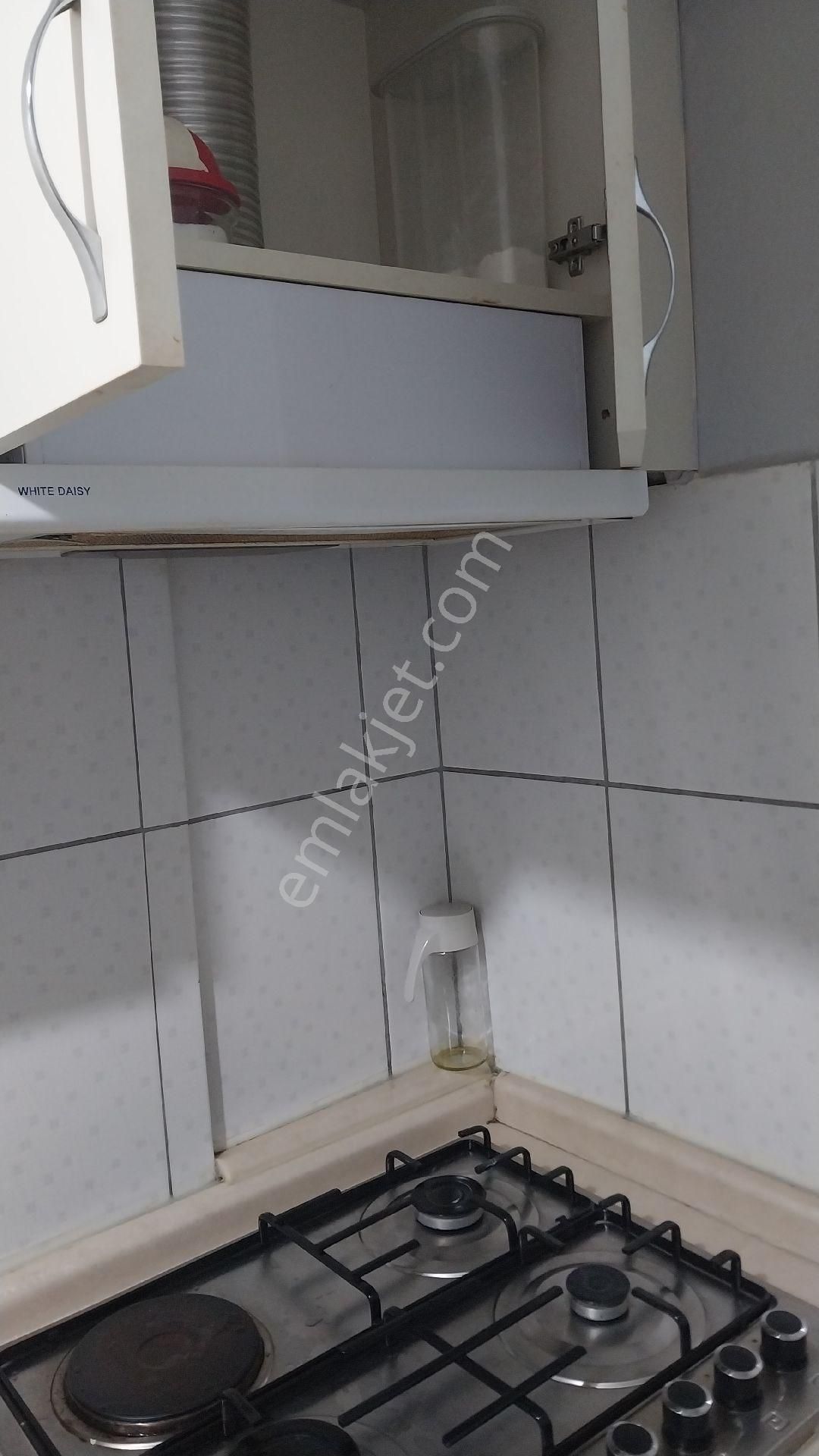 Aydın Efeler Zafer Mahallesinde Asansörlü Kiralık 1+1 Eşyalı - Görsel 29