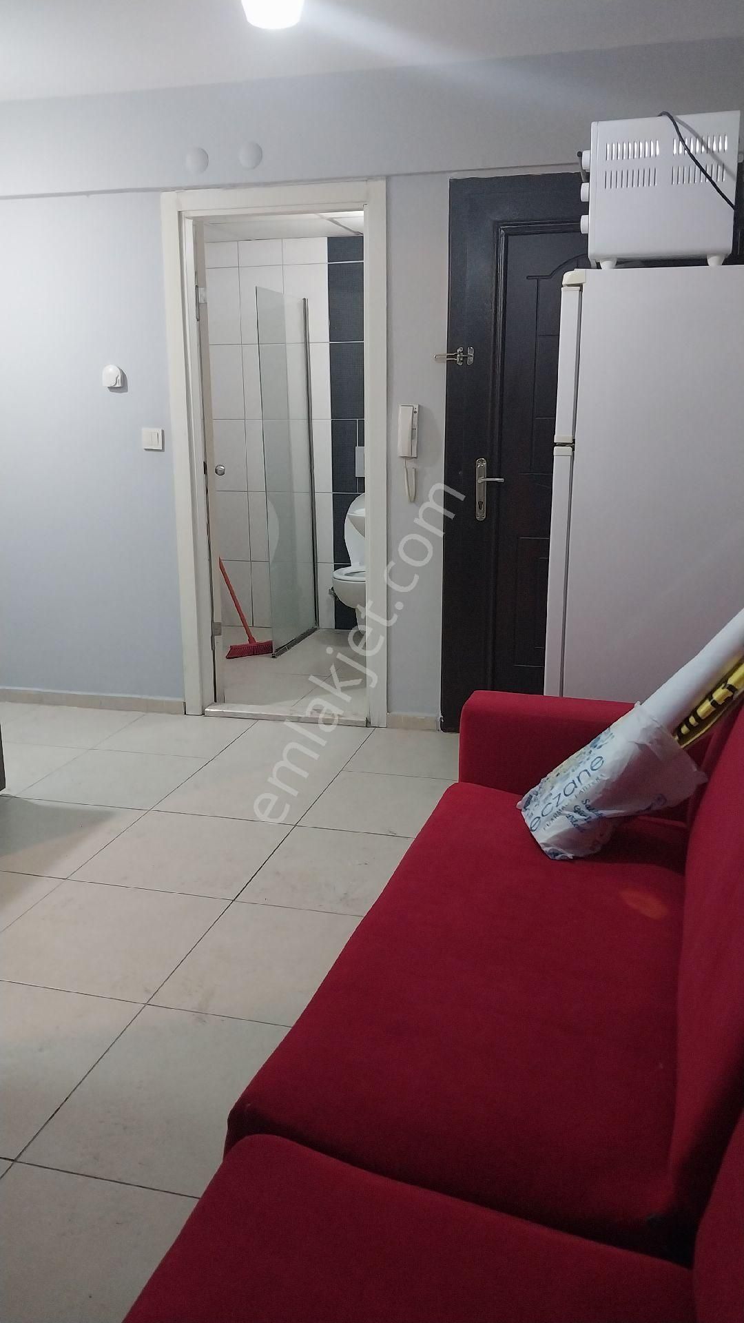 Aydın Efeler Zafer Mahallesinde Asansörlü Kiralık 1+1 Eşyalı - Görsel 12