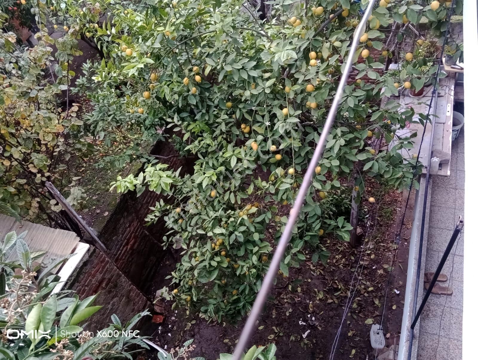 Aydın Nazilli Yeni Mahallede Satılık 3 Katlı Bina - Görsel 27