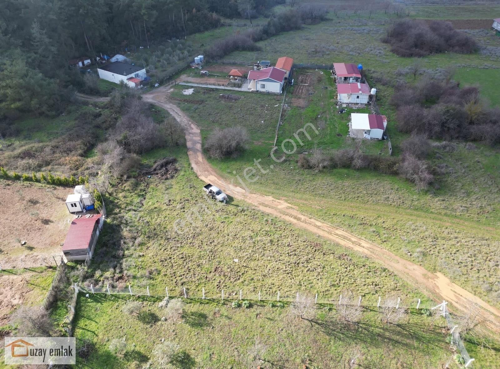 Doğayla İç İçe! Milas Tuzabat Köyünde Geleceğe Yatırım Tarla - Görsel 8