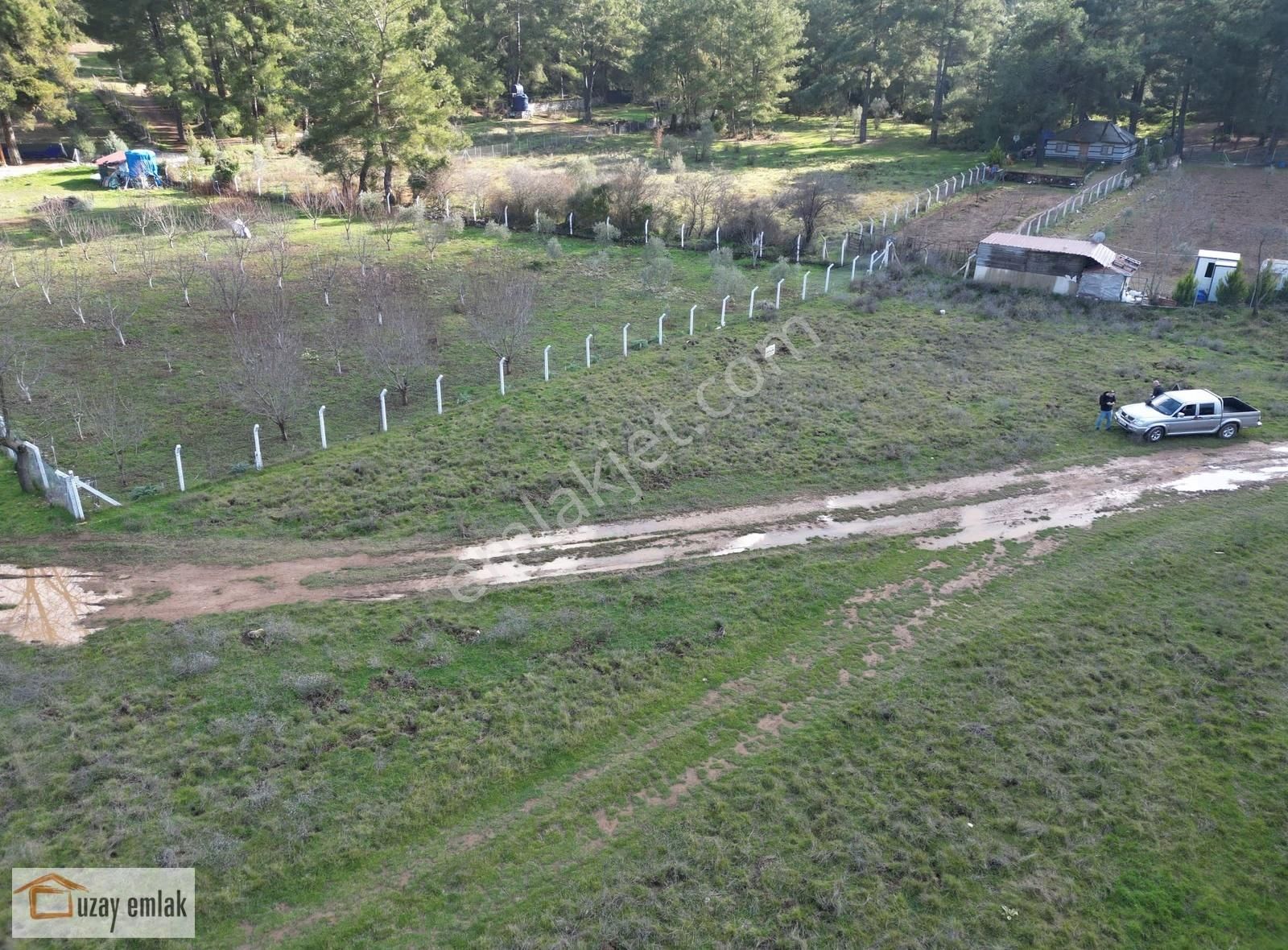 Doğayla İç İçe! Milas Tuzabat Köyünde Geleceğe Yatırım Tarla - Görsel 6