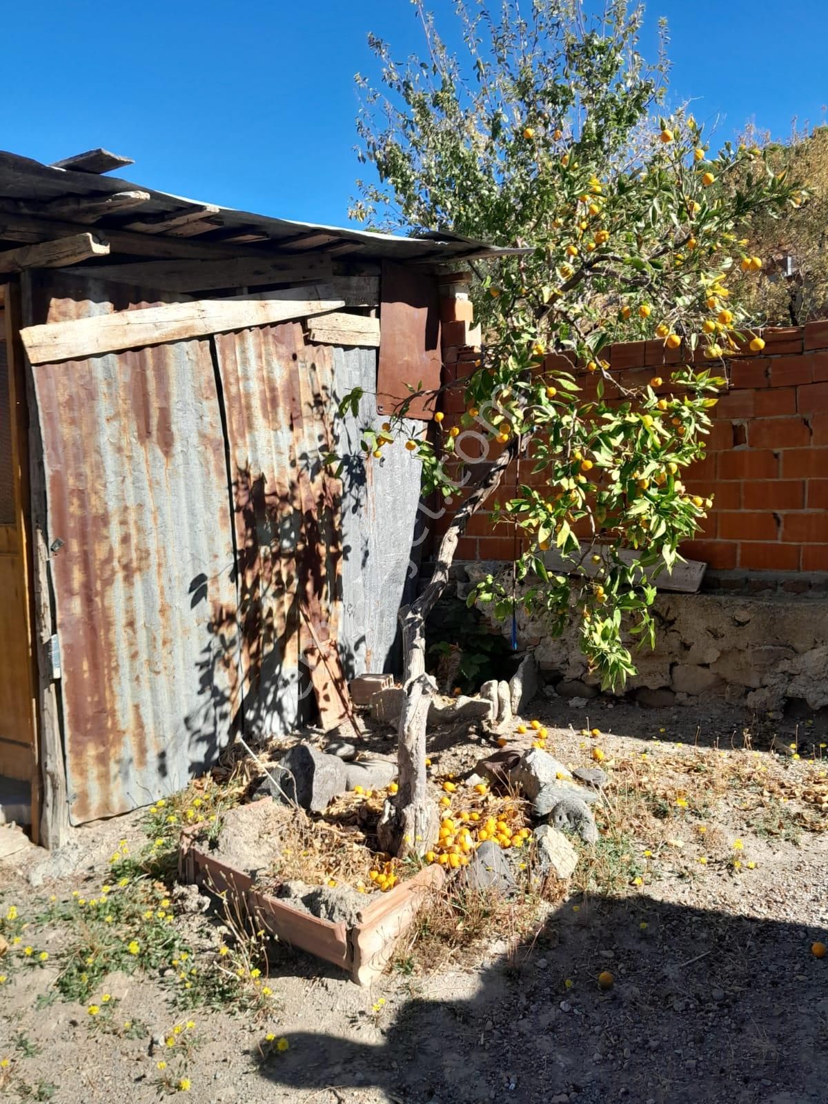 Pak Yapı'dan Fırsat Satılık Köy Evi İçi 260m2 Arsa İçerisinde - Görsel 16