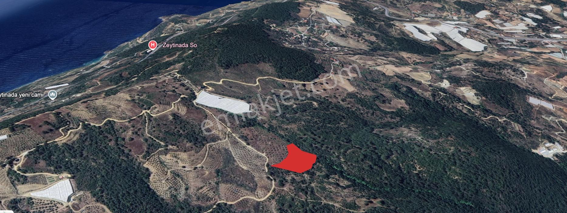 Zeytinada Mahallesinde Uygun Fiyat 10 Dönüm Tarla